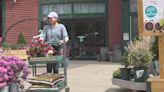 Gardener's Supply Company taking root on Shelburne Rd.