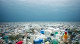 How Do You Make Plastic Renewable? Ask Biotech-er Avantium