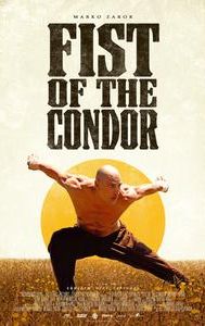 The Fist of the Condor