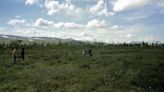 Down in the bog: Tallinn exhibition dives into the unique ecosystem of peatlands