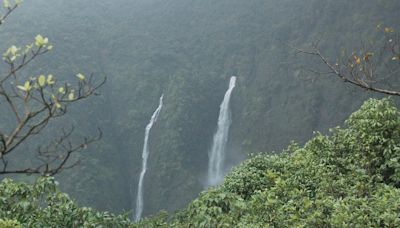 50 moved to safer place after 80 get stuck at Goa waterfall; operation underway to rescue the rest