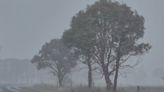 'Certainly cold enough': Once-in-a-decade snowstorm looms over Queensland