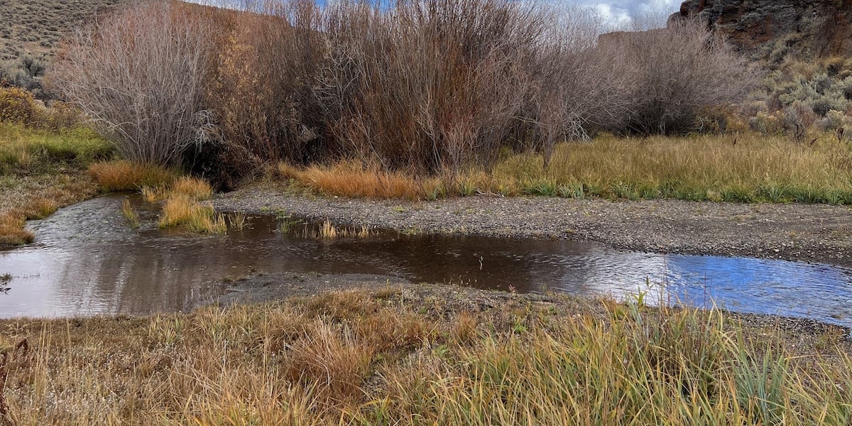 Disaster Peak Ranch preserved for conservation purposes