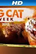 Big Cat Week