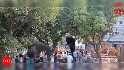 Installation of Maharani Lakshmi Bai statute underway at Delhi's Shahi Idgah Park amid heavy police deployment | Delhi News - Times of India