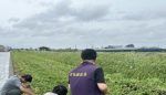 彰化農田汪洋一片 凱米颱風初估造成彰化縣農損已高達3億元以上