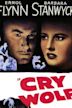 Cry Wolf (1947 film)