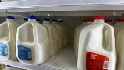 Desde leche hasta pañales: Target recortará precios mientras la inflación asfixia los bolsillos