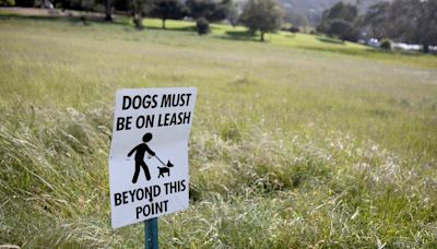 Letters to the editor: Unleashed dogs at SLO’s Meadow Park are a menace | Opinion