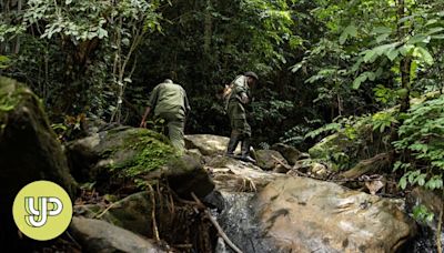Sierra Leone wilderness rangers battle illegal miners in fight against deforestation