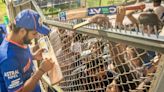 Without A Single Word, Rohit Sharma's Post On Mumbai Indians Says It All | Cricket News