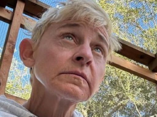 'You Know The Truth': Ellen DeGeneres Opens Up About Talk Show Controversy; Calls It 'Devastating'