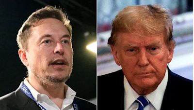 Donald Trump May Give Elon Musk Advisory Role If Elected President: Report