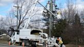 DTE trimming trees, upgrading infrastructures