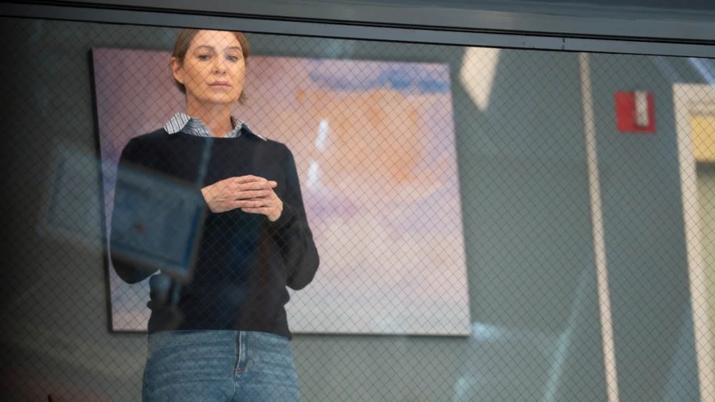 ‘Grey’s Anatomy’ Season 20 Finale: Is Everyone Really Fired?
