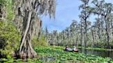 New documentary shows Okefenokee National Wildlife Refuge as more than 'just a swamp'