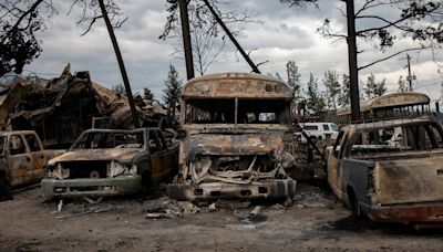 First images of Jasper after 100m high wildfire hit