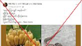 Health experts say no evidence Manzano banana can cure viper bite