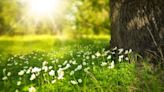 Scientists want to know how the smells of nature benefit our health