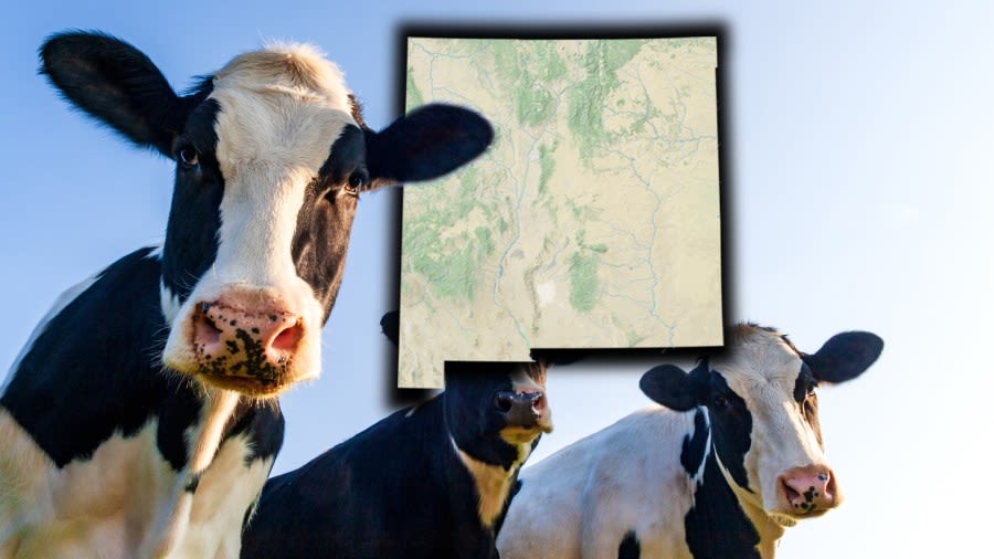 New Mexico Department of Health advises public not to drink raw milk