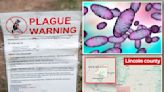 US patient dead from bubonic plague as concerns rise over ‘ongoing risk’ of rodent-borne disease