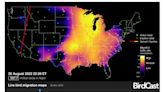 Smith: What's that in the sky after dark? 48.4 million birds migrated across Wisconsin overnight Tuesday. Radar helps reveal the facts