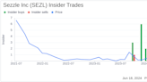 Insider Sale: Former Director Paul Purcell Sells Shares of Sezzle Inc (SEZL)