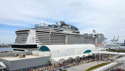 44-Foot Endangered Whale Found Dead on Cruise Ship's Bow as It Arrives in New York City