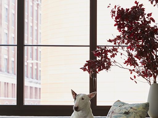 In This Chic Manhattan Pad, Everyone Has a Place—Including the Family Dog