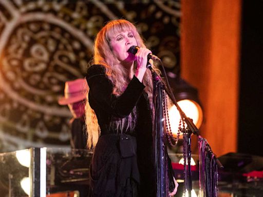 Stevie Nicks Postpones Another Concert ‘Due to Illness’