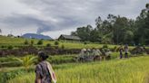 Un seísmo de magnitud 5,2 sacude la turística isla de Bali en Indonesia