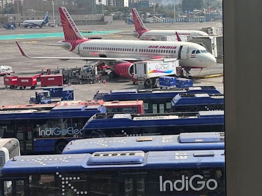 Indian aviation reports best-ever first half in 2024; IndiGo, Tata group airlines fly high; SpiceJet biggest loser | Mint