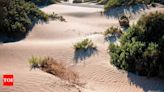 World Sand Dune Day; Sand Dune spots for each zodiac sign - Times of India