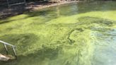 Social media campaign targets harmful algal blooms in Canandaigua Lake