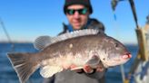 Winter Saltwater Fishing: How to Fish for Cod, Tautog, and Ling in Blizzard Temps