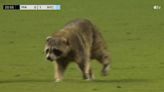 Raccoon scurries on field, dodges trash can-wielding crew at Philadelphia Union-New York City FC match