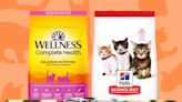 The best kitten foods of 2024, with advice from veterinarians