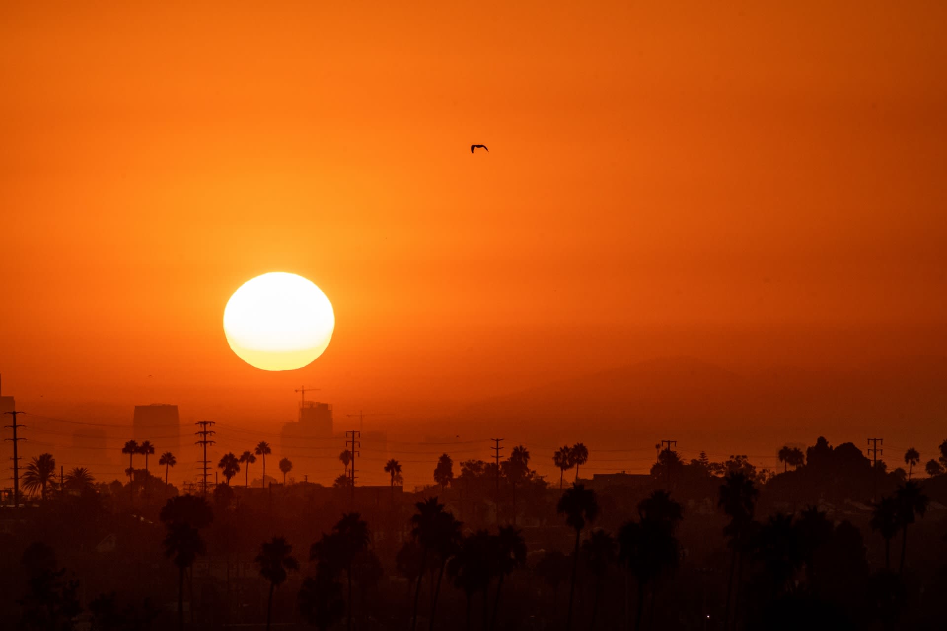 Experts raise concerns over unprecedented temperatures as cities buckle under heat wave: 'This was something exceptional'