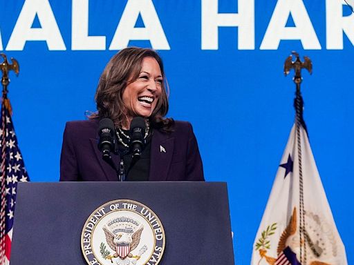 How 'brat' is Harris and what does that even mean? Democrats weigh in
