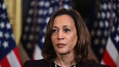 Kamala Harris piles pressure on Israel as DNC's showdown over Gaza looms