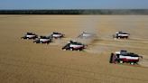 Russian farmers fight to salvage harvest as major region cuts forecast