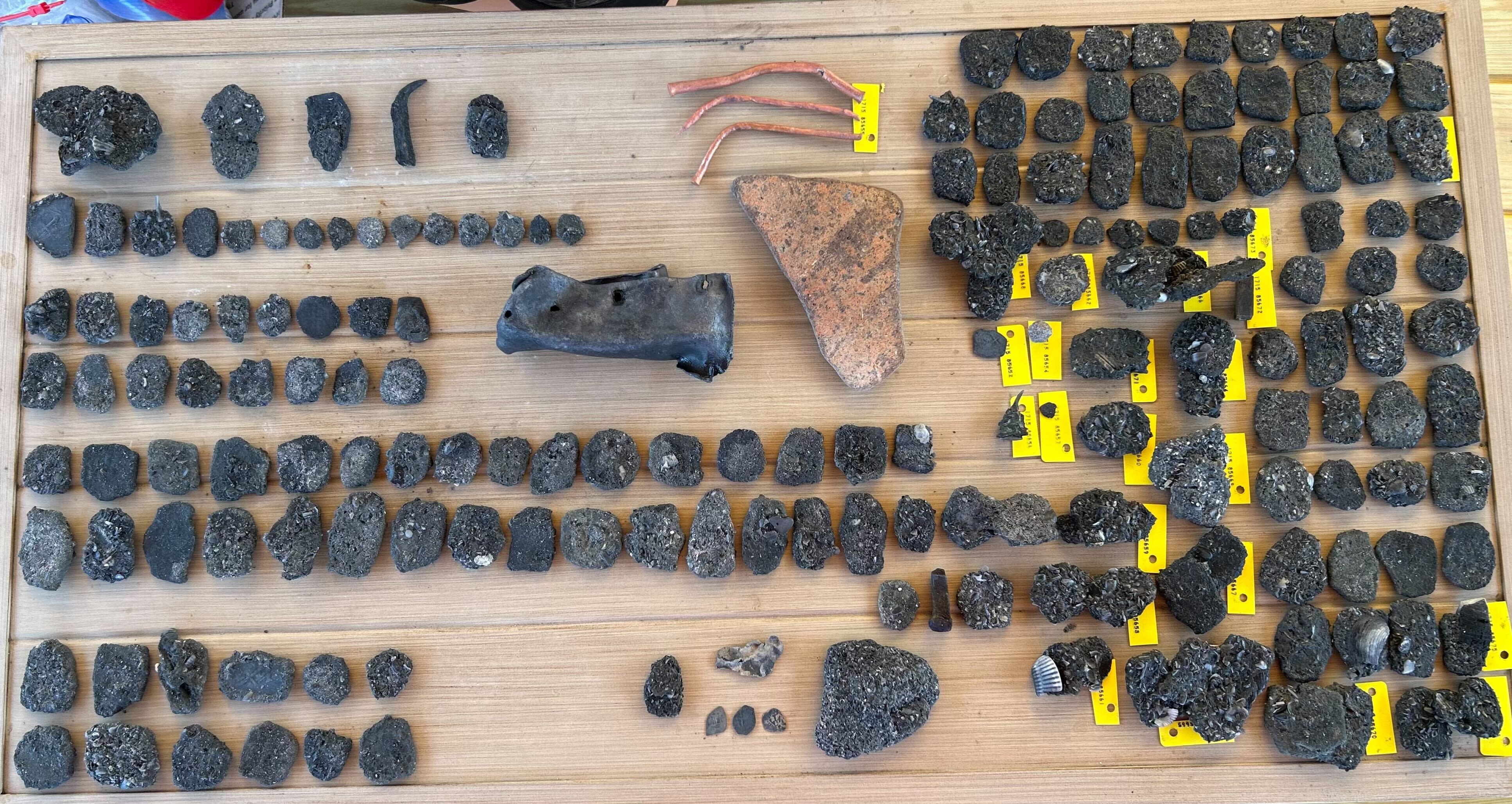 A treasure hunter was ready to retire. Then he found hundreds of coins.