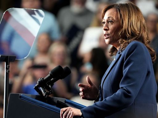 A GOP congressman called Kamala Harris a ‘DEI hire.’ Some caution it’s a sign of what’s to come