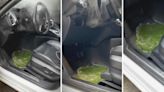 'Heater core has left the chat': Man shares unexpected driver's seat malfunction. Here's how it could happen to you