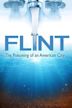 Flint: The Poisoning of an American City