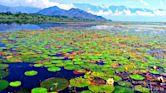 Wular Lake