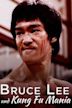 Bruce Lee and Kung Fu Mania