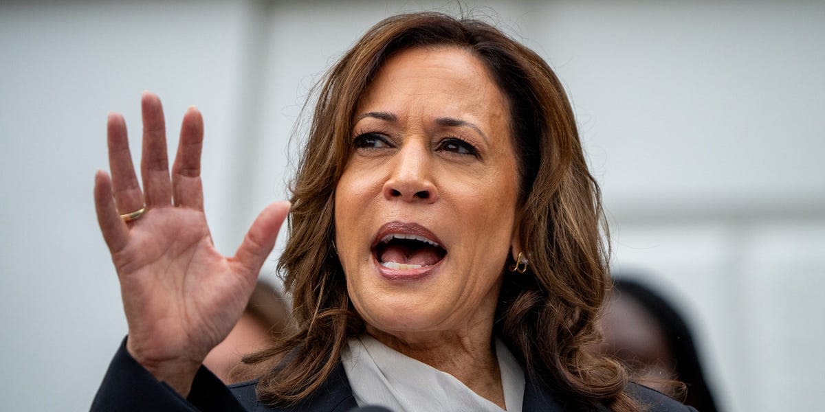 These 6 House Democrats voted for GOP resolution condemning Kamala Harris's 'failure to secure' the border