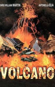 The Volcano Disaster (film)