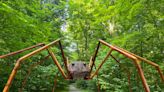 David Rogers’ 'Big Bugs' sculptures to create buzz at The Dawes Arboretum